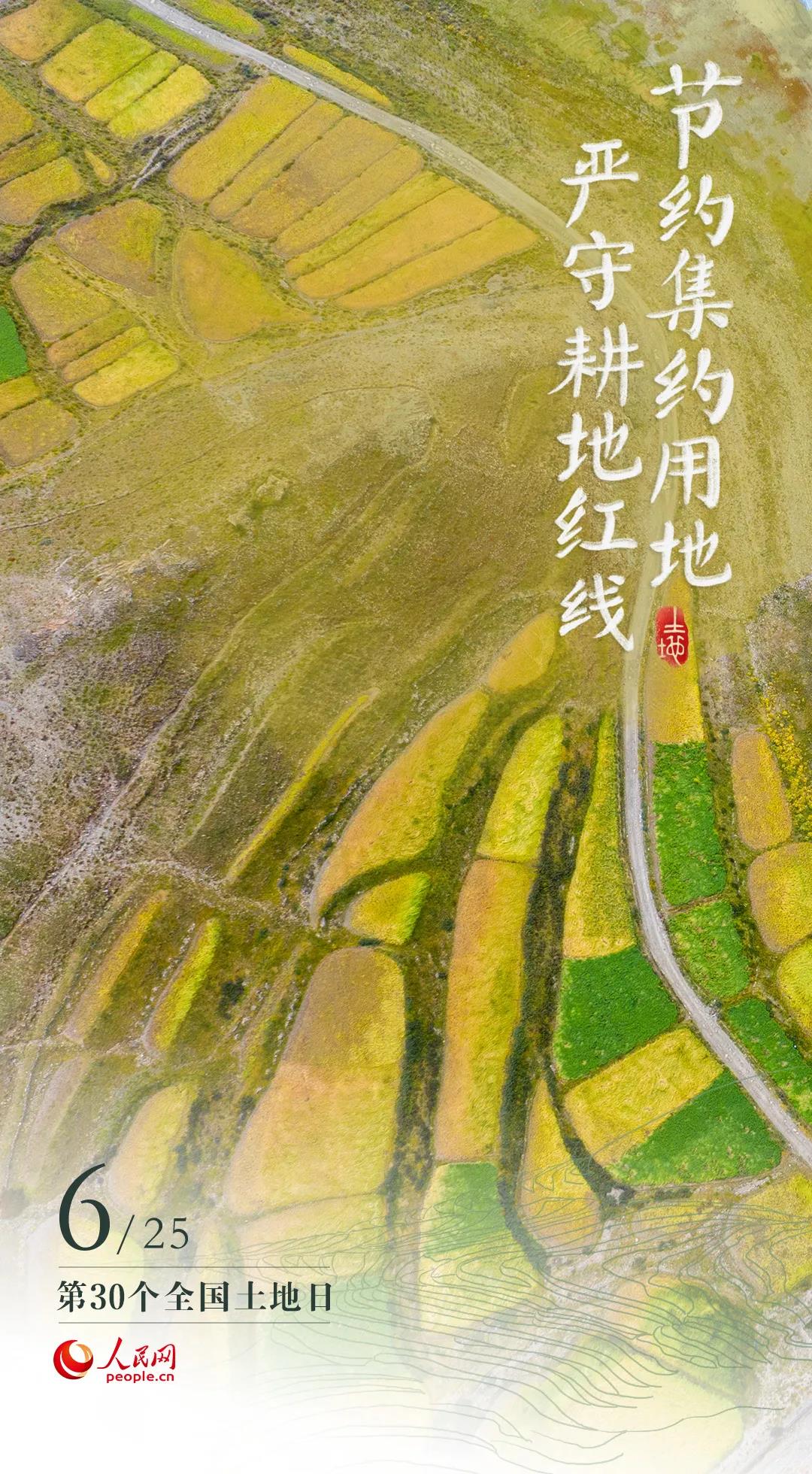 今天，不止是端午节！