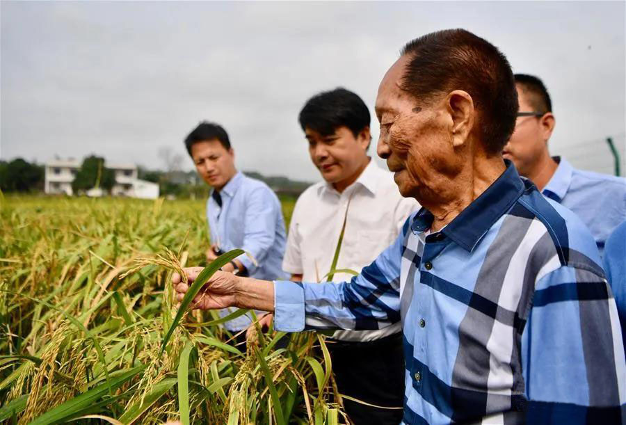 袁隆平：我带研究生有一个要求