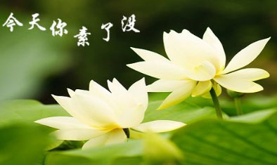 谁不想命长？素食是秘方