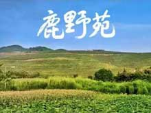 昆明满天红生物科技有限公司