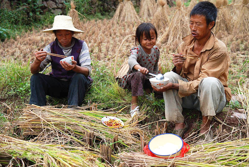 《天堂午餐》一部感动无数人的短片！