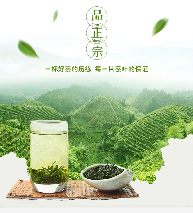 【宁强毛尖】绿茶 250g/袋   滋味醇厚 清凉可口 陕西汉中