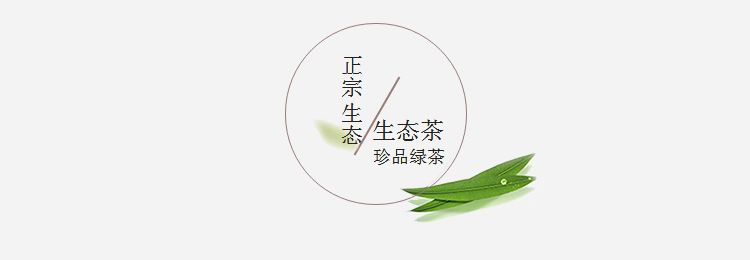 【宁强毛尖】绿茶 250g/袋   滋味醇厚 清凉可口 陕西汉中