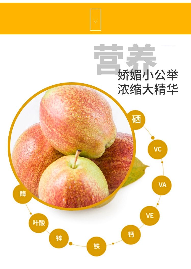 媚梨七号梨 阳信鸭梨 2.5kg 新鲜水果 现摘 优于香梨 像贵妃梨