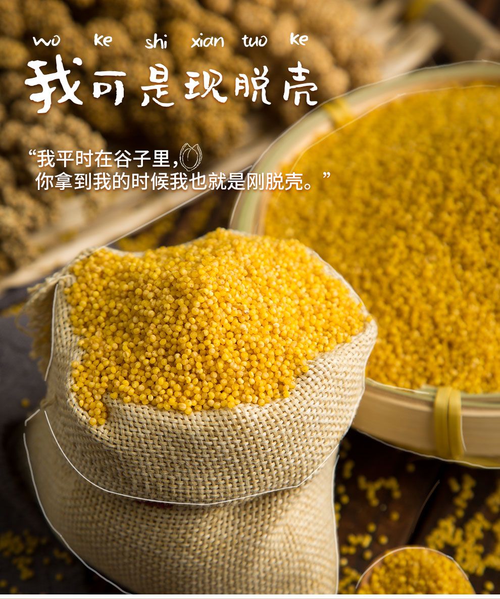 蒙清有机小香米 200g/袋*2袋内蒙古有机黄小米 小黄米 新米 粥米五谷