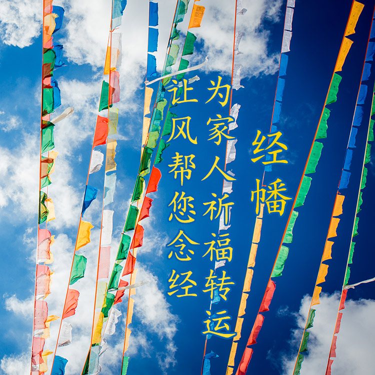 播超度-博超软件 播超度-博超软件