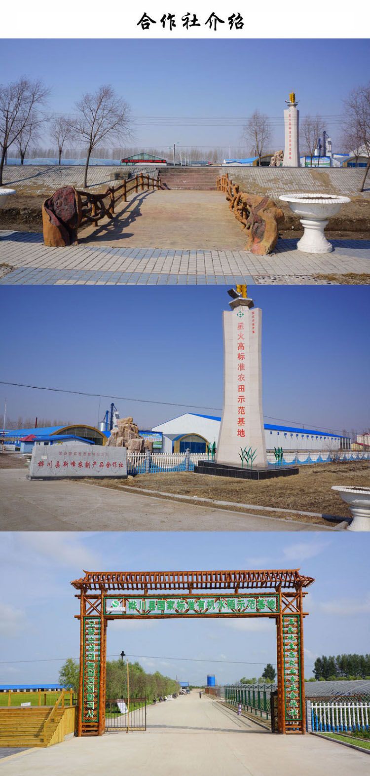 桦川星火大米 有机富硒锶 4kg 黑龙江朝鲜族种植大米 包邮