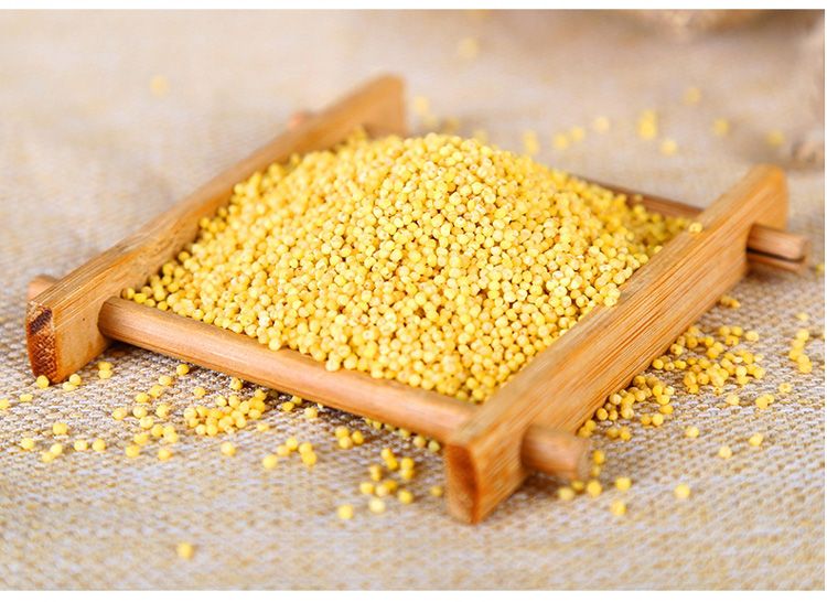 蒙清有机小香米内蒙古有机黄小米小黄米新米粥米五谷杂粮400g