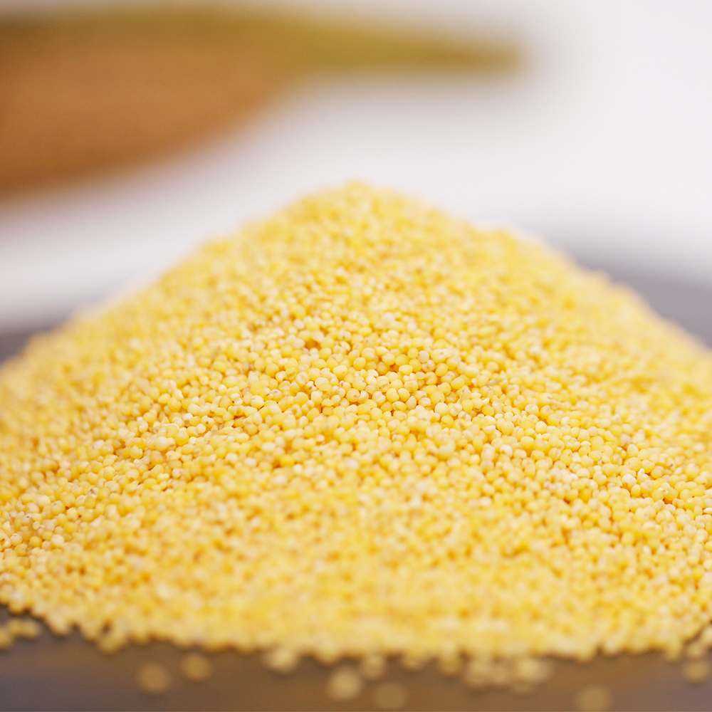 和耕黄小米家庭装-米豆同熟 内蒙古赤峰杂粮 自然成熟 无添加 小米